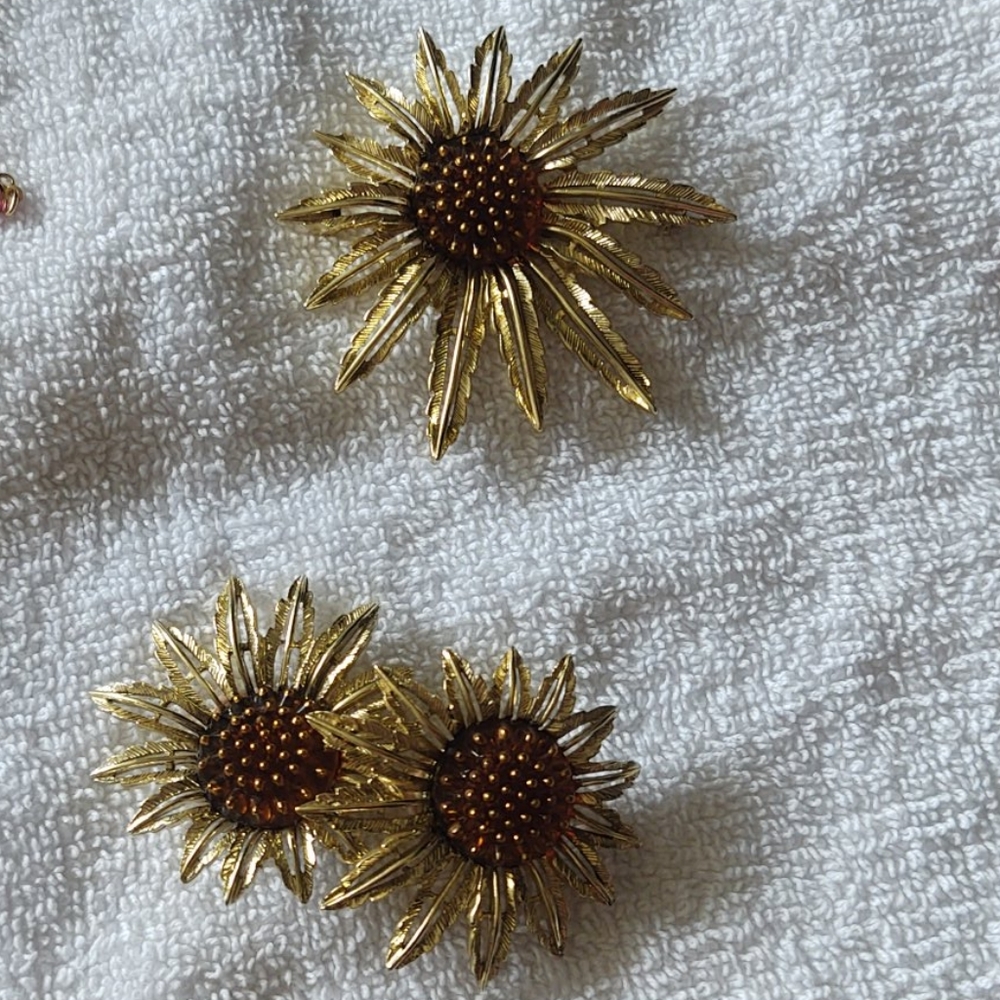 Clip earrings w/ pin - Picture 5 of 6